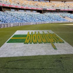 11000 runners pass over Stadia colours signage